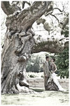 photo de mariage